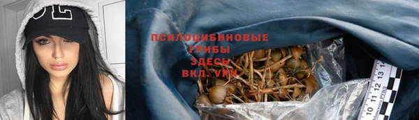 ешки Протвино