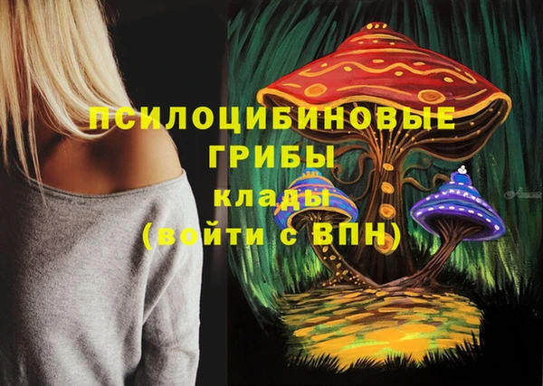 ешки Протвино