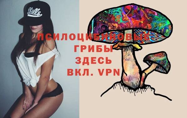 ешки Протвино