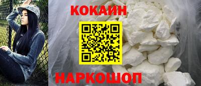 PSILOCYBIN Гатчина