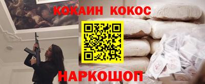 PSILOCYBIN Гатчина