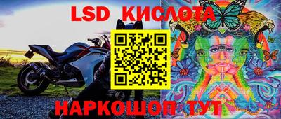 молекула духа Гагарин