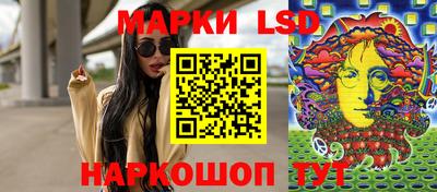 PSILOCYBIN Гатчина