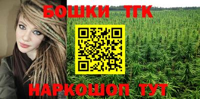 PSILOCYBIN Гатчина