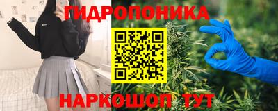 PSILOCYBIN Гатчина