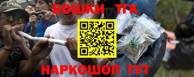 PSILOCYBIN Гатчина