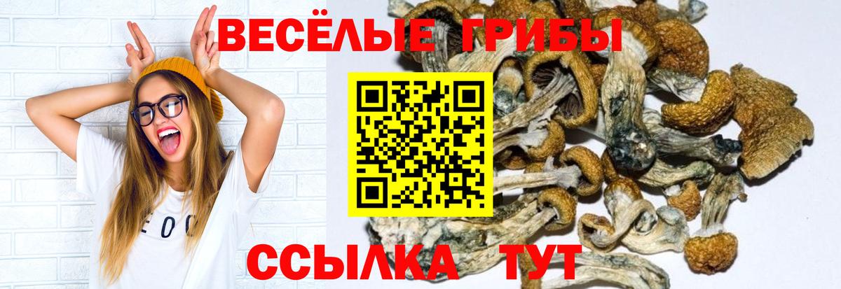 Галлюциногенные грибы Magic Shrooms  Вход с VPN  сколько стоит  Псилоцибиновые грибы MAGIC MUSHROOMS  Усолье-Сибирское 